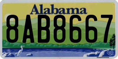AL license plate 8AB8667