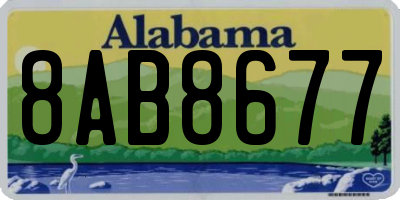 AL license plate 8AB8677