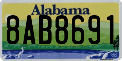 AL license plate 8AB8691