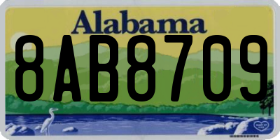 AL license plate 8AB8709