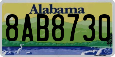 AL license plate 8AB8730