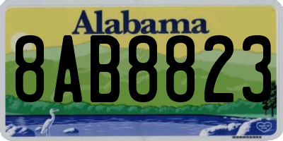 AL license plate 8AB8823
