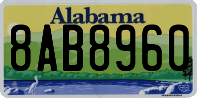 AL license plate 8AB8960