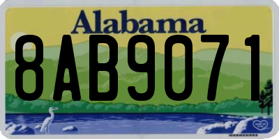 AL license plate 8AB9071