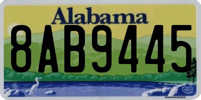 AL license plate 8AB9445