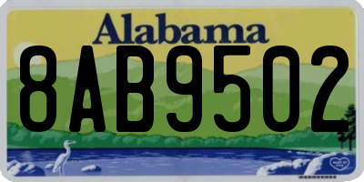 AL license plate 8AB9502