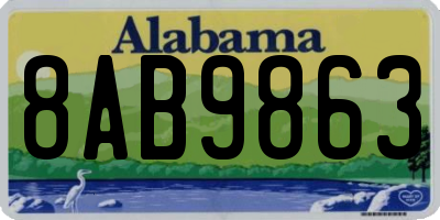 AL license plate 8AB9863