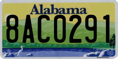 AL license plate 8AC0291