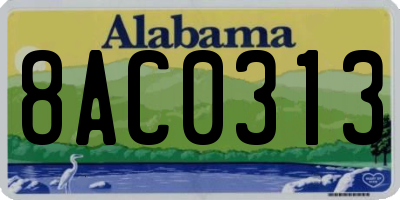 AL license plate 8AC0313