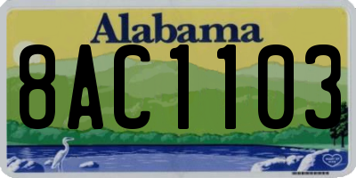 AL license plate 8AC1103