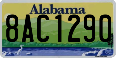AL license plate 8AC1290