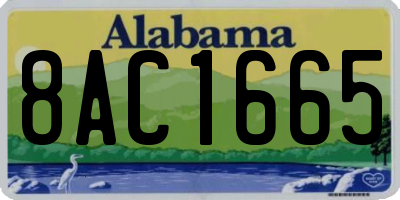 AL license plate 8AC1665