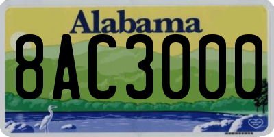 AL license plate 8AC3000
