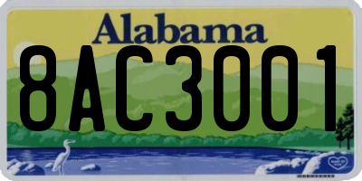AL license plate 8AC3001