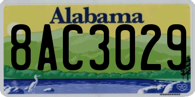 AL license plate 8AC3029