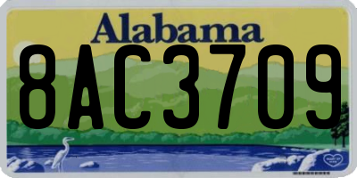AL license plate 8AC3709
