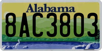 AL license plate 8AC3803
