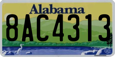 AL license plate 8AC4313