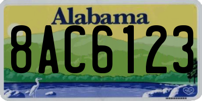 AL license plate 8AC6123