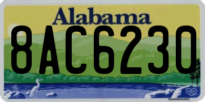 AL license plate 8AC6230