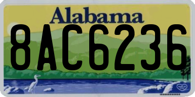 AL license plate 8AC6236