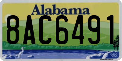 AL license plate 8AC6491