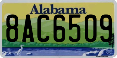 AL license plate 8AC6509