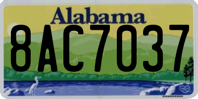 AL license plate 8AC7037
