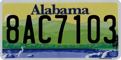 AL license plate 8AC7103