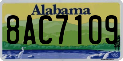AL license plate 8AC7109