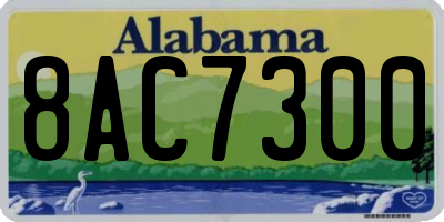 AL license plate 8AC7300