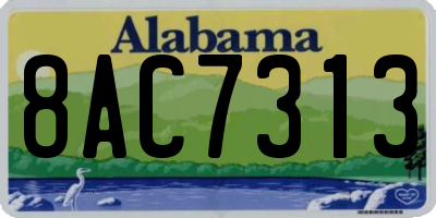AL license plate 8AC7313