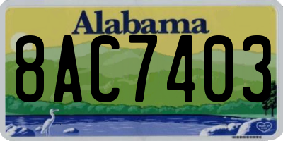 AL license plate 8AC7403