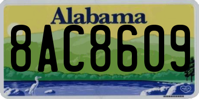 AL license plate 8AC8609