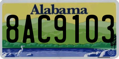 AL license plate 8AC9103