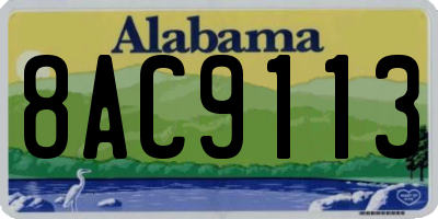 AL license plate 8AC9113