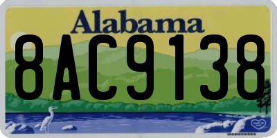 AL license plate 8AC9138