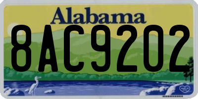AL license plate 8AC9202