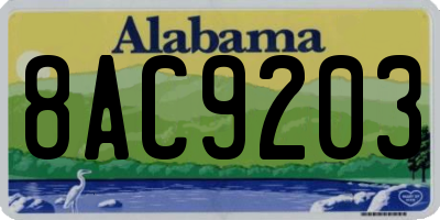 AL license plate 8AC9203
