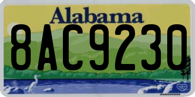 AL license plate 8AC9230