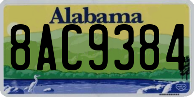 AL license plate 8AC9384