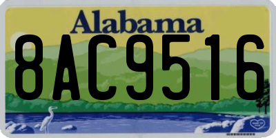 AL license plate 8AC9516