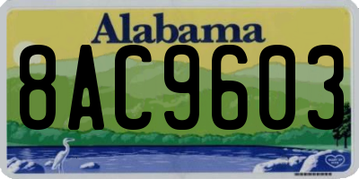 AL license plate 8AC9603