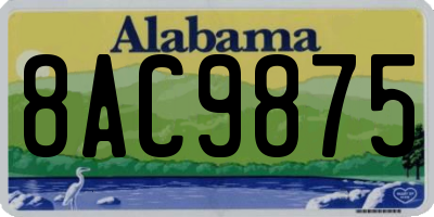 AL license plate 8AC9875