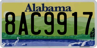 AL license plate 8AC9917