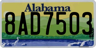 AL license plate 8AD7503