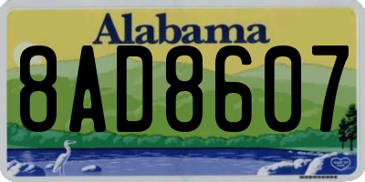 AL license plate 8AD8607