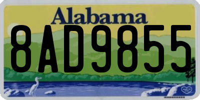 AL license plate 8AD9855