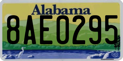 AL license plate 8AE0295