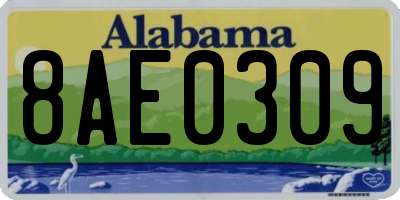 AL license plate 8AE0309